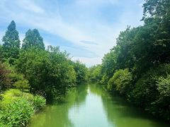 -西溪国家湿地公园