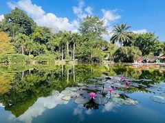 -中国科学院西双版纳热带植物园