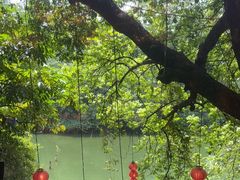 -侨美·唐荔园·40年地道粤菜