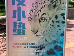 -青藏高原野生动物园