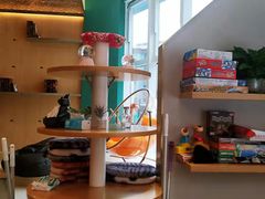 -飞行喵MR PILOT|猫舍·猫咖(静安大融城店)