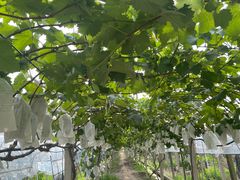 -美家乐农庄·露营·团建(大治路店)