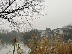 -新荣记(西溪湿地店)