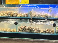 -苏格里岛自助海鲜烤肉火锅(集美万达店)