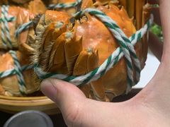 -蟹天蟹地农家菜·阳澄湖大闸蟹(浅水湾店)