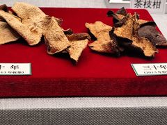 -北京中医药大学-中医药博物馆
