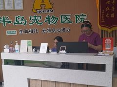 -半岛宠物医院24小时·内窥镜·牙科·碎石中心(府城大道店)