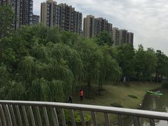 -南翔镇银翔湖公园