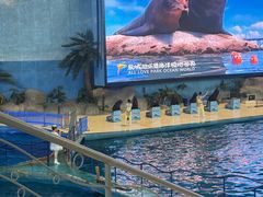 -泉城欧乐堡海洋极地世界