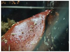 -挪亚方舟度假酒店