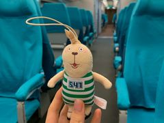 -龙阳路磁悬浮列车总站-停车场