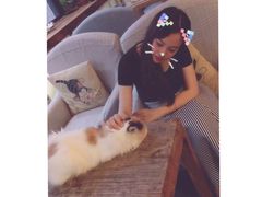 -吉丁鸟咖·异宠·寄养