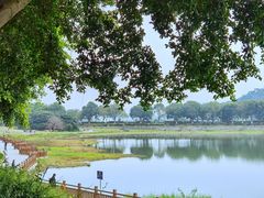 -风云岭森林公园