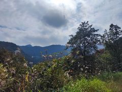 -午潮山国家森林公园