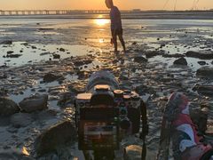 -宝安西湾红树林湿地公园