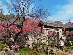 -无锡梅园公园