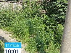 -老城味道·传统天津菜(杨柳青店)