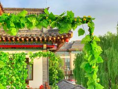 -鹊华居·地道鲁菜·海鲜·融合味(大明湖店)