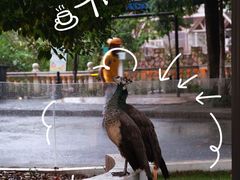 -J Create城市露营咖啡·简餐·宠物(上海动物园店)