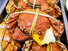 -乡乐园蟹庄·阳澄湖农家乐