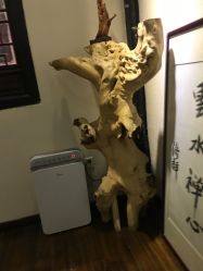 -片仔癀国药堂