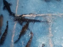 -金明姬铁锅炖(东坝店)