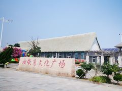 -烟墩角天鹅湖