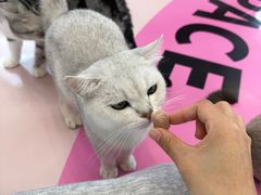 -福田卓悦INTOWN购物中心