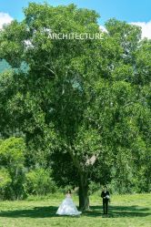 -巴黎婚纱摄影工作室