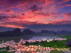 -会仙湿地