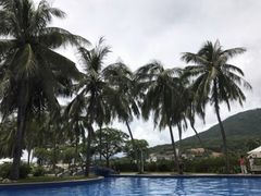 -三亚亚龙湾金棕榈度假酒店