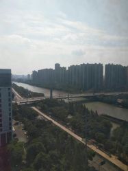 -涌泉妈咪树通乳·产后恢复