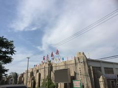 -龙大花卉苗木市场