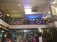 -猫咪博物馆(顶澳仔猫街店)