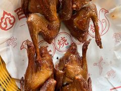-百利鸽王(紫薇路店)