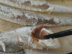 清蒸长江野生刀鱼-春盛渔府(牛首山店)