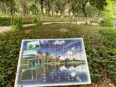 -东莞植物园