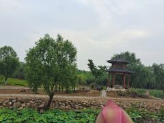 -宝视达眼镜(泌阳店)