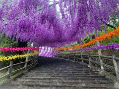 -玉石林风景区