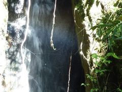 -海南热带雨林国家公园吊罗山景区