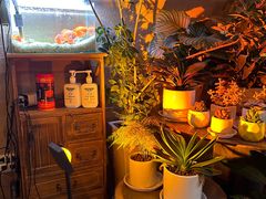 -火塘云南烧烤大排档