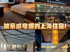 -上海龙之梦万丽酒店
