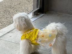 -致璞ZHIPU Rolling on(青岛极地店)