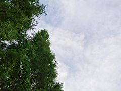 -龙头寺公园