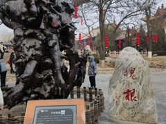 -大槐树寻根祭祖园