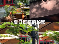 -白家大院·王府宫廷菜(苏州街店)