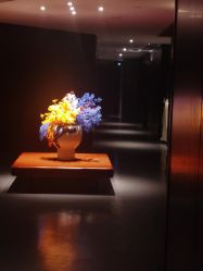 点击看大图 -奈瑞儿美养院·身体调养·美颜