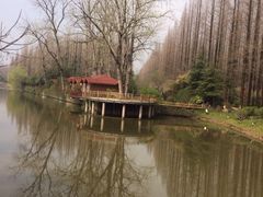 iphone_upload_pic-上海怡沁园度假酒店