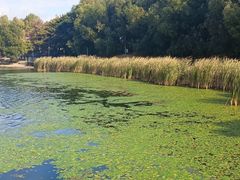 -长春市南湖公园