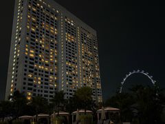 -新加坡文华东方酒店